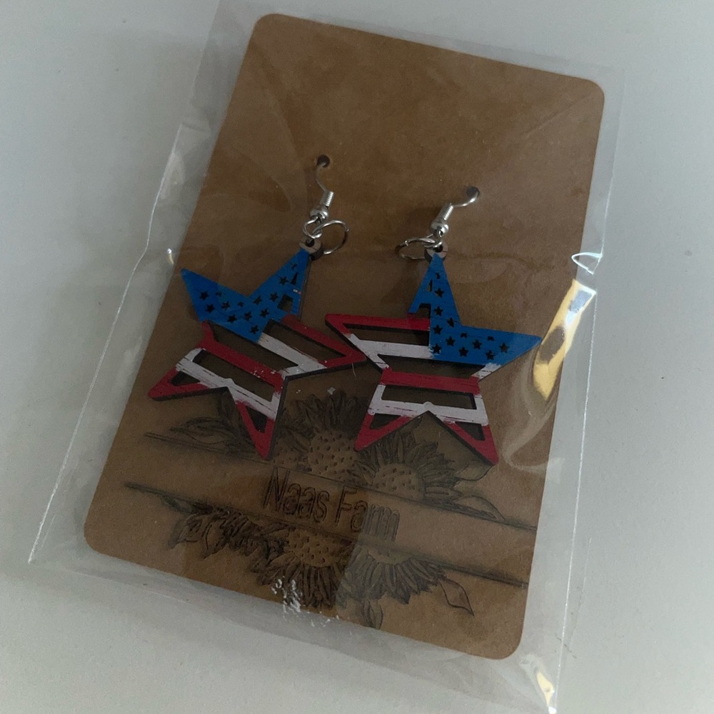 Hand painted Wooden Earrings